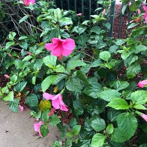 Meet your Posher, Lekha